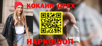 индика Боровичи