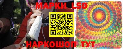 индика Боровичи