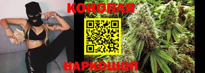 индика Боровичи