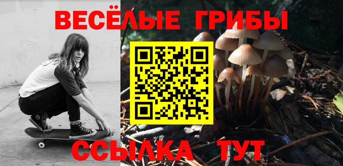хочу   Галлюциногенные грибы мухоморы  Вход с VPN  Владикавказ  Галлюциногенные грибы мухоморы 
